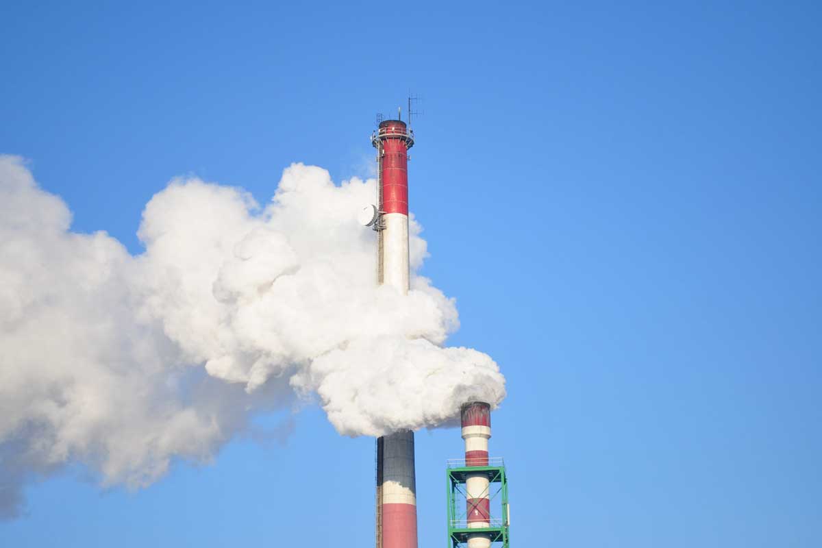 Bitso y Moss.Earth forman alianza para compensar las emisiones de carbono