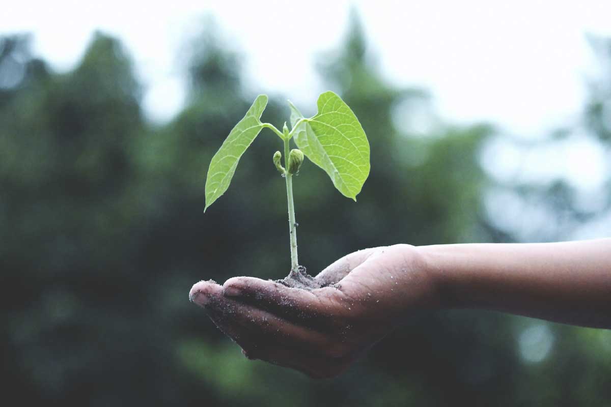 Abre la convocatoria para la aceleradora de pymes de innovación climática (ASAP) en Latinoamérica y el Caribe