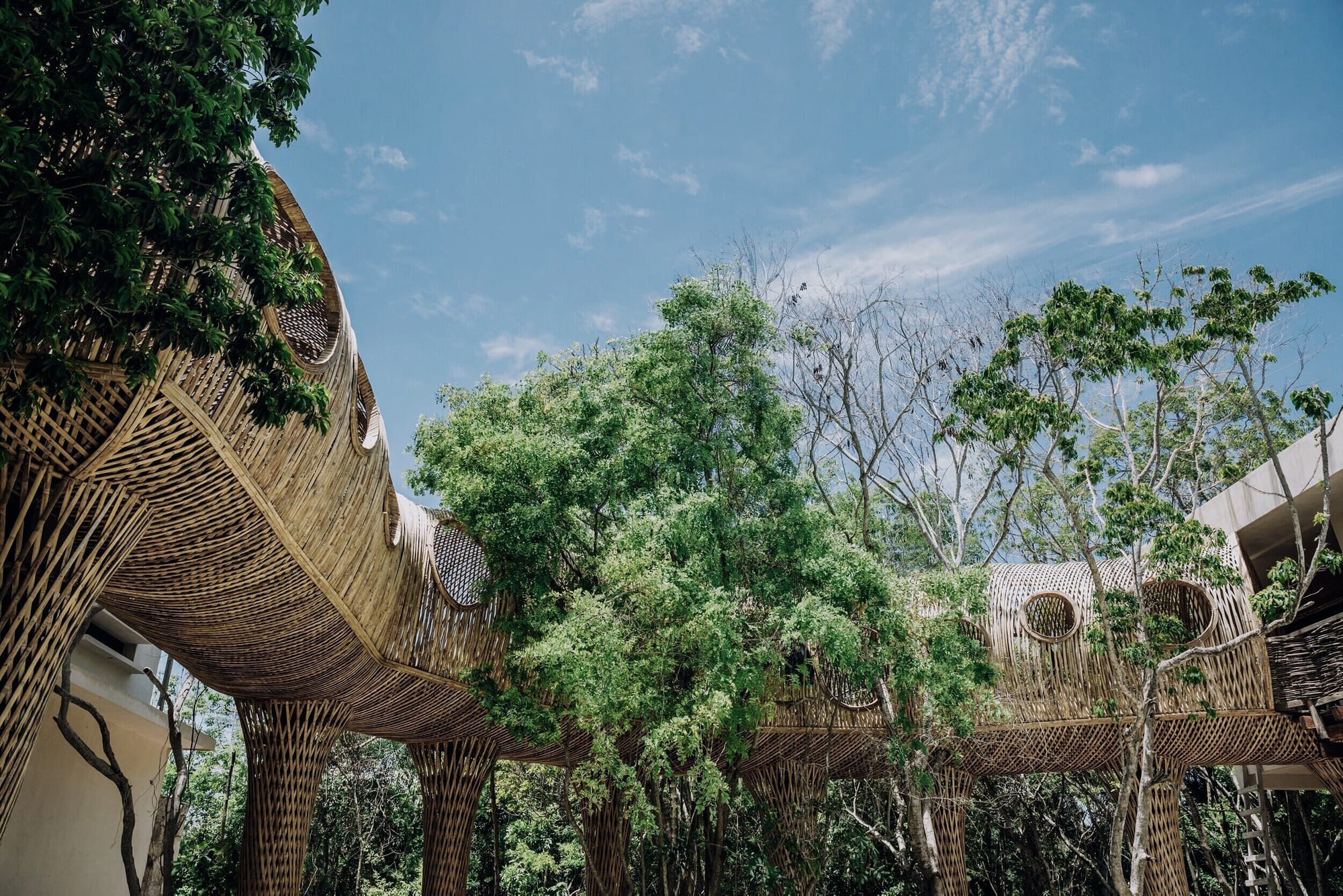 Llega la segunda edición del Tulum Crypto Fest, el festival con una propuesta innovadora que une tecnología, networking, diversión y wellness.