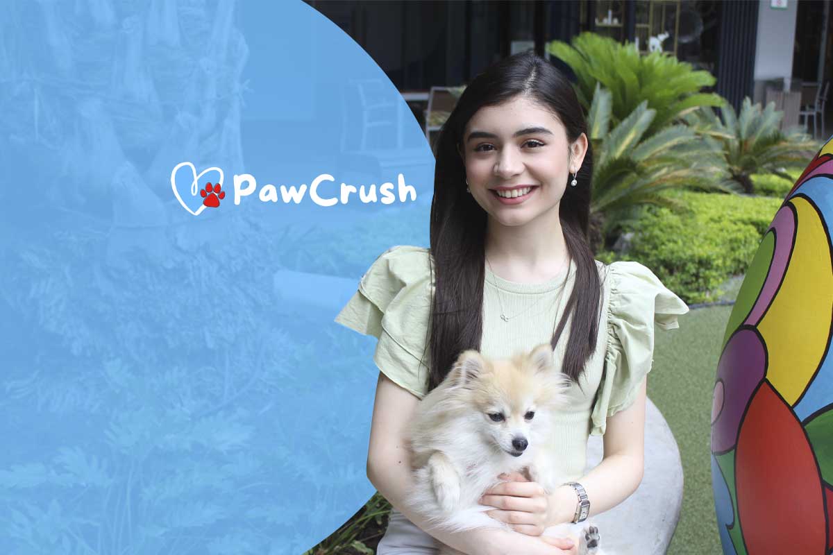 PawCrush pone al alcance de todos la adopción responsable de mascotas