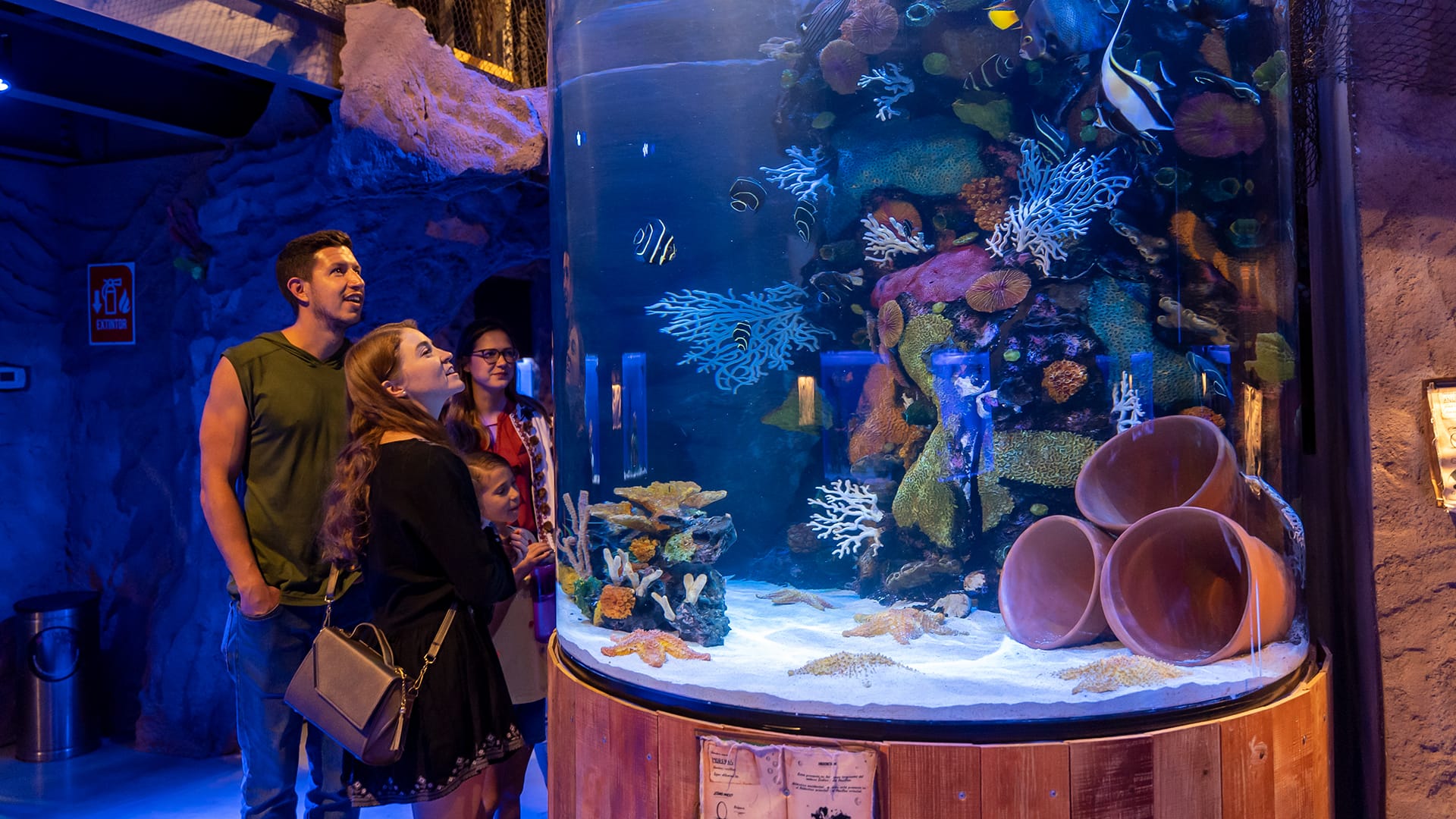 Descubre Sealand Monterrey en Galerias Valle Oriente