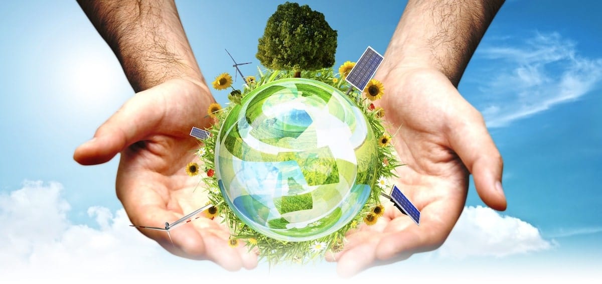 ¿No sabes qué emprender? Apuéstale a lo sustentable