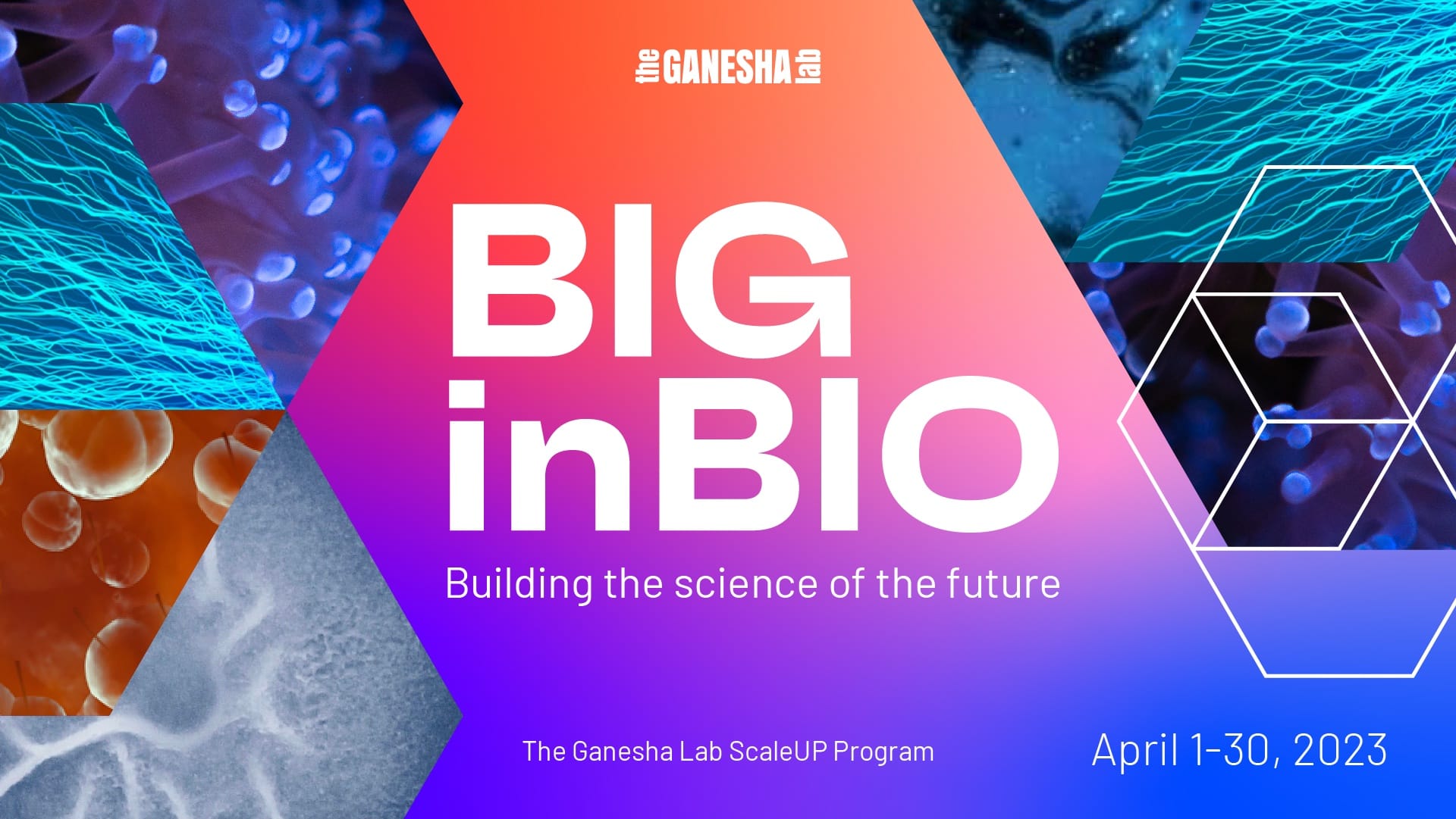 BIGinBIO 2023: se abren las postulaciones para startups biotecnológicas de Latinoamérica