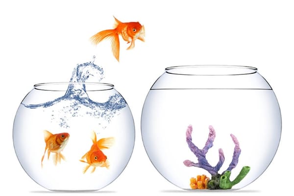 ¿Cómo utilizar el quita-pon en tu vida diaria?