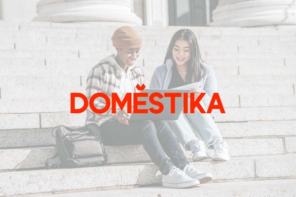 Domestika alcanza estatus de unicornio