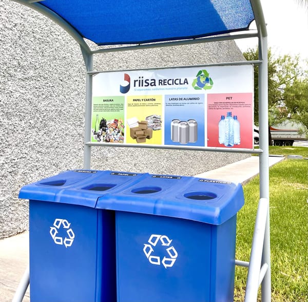 4 acciones que toda empresa debería emprender para cuidar el medio ambiente