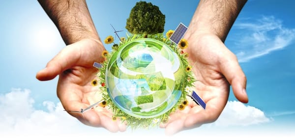 ¿No sabes qué emprender? Apuéstale a lo sustentable