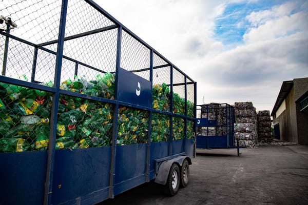 ¿Cómo aplicar la economía circular en tu empresa?